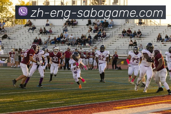 多媒体互动体验